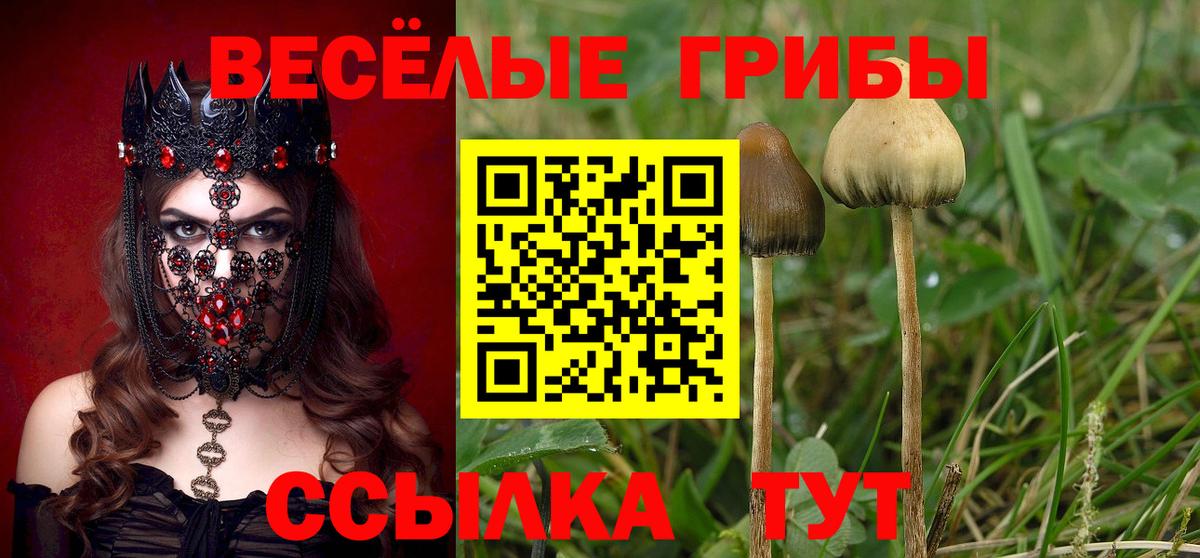 Галлюциногенные грибы Cubensis Кинешма