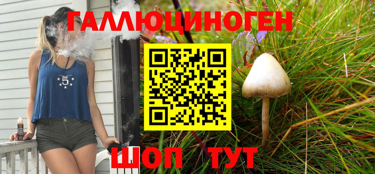 что такое   Вход с VPN  Кинешма  Галлюциногенные грибы Magic Shrooms 